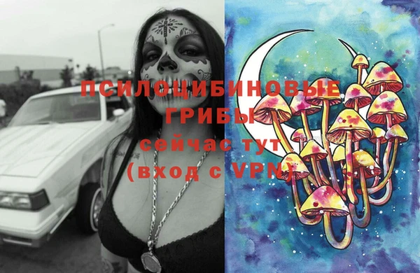 спиды Богородск