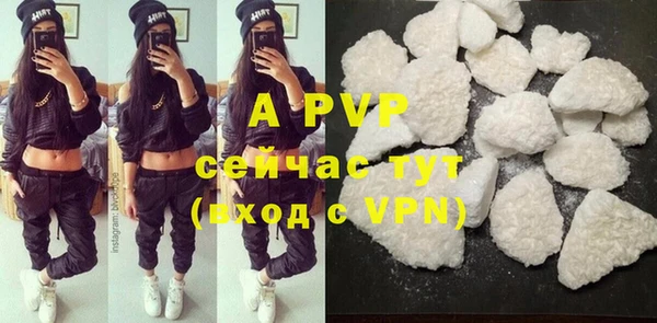 спиды Богородск